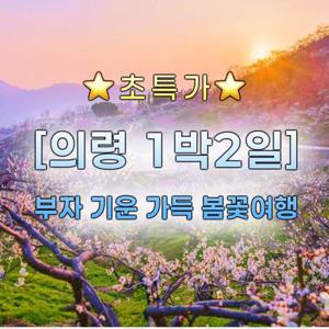 [1박2일] 의령, 광양매화 (하동 벚꽃), 구례 산수유꽃