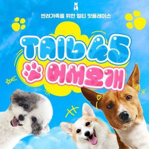 용인 테일45 5천평 규모 반려견 운동장