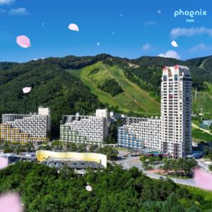 [슈퍼트립] 평창 휘닉스파크 파격가 객실1박포함 액티비티 or 식사+액티비티 2/3/4인 PKG