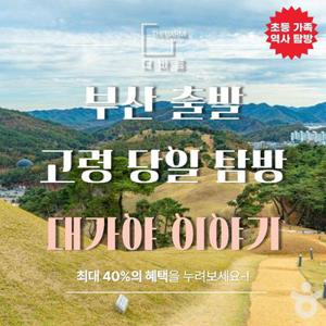 [여행가는달] 부산 출발 고령 가족 역사 탐방대가야 이야기