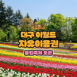 [대구] 이월드 자유이용권 4월