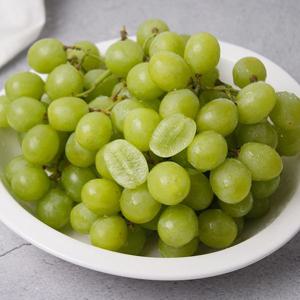 고당도 애플청포도,블랙사파이어 포도