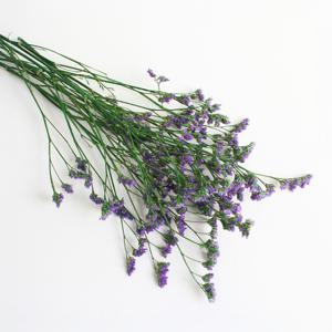 보라색 꽃 오하이오블루 프리저브드 소량판매/DIY 압화, 레진, 드라이플라워 재료