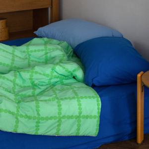 부드러운 4온스 콜드벡스 모달 차렵 이불세트 - 블라썸 체크 멜론 소다