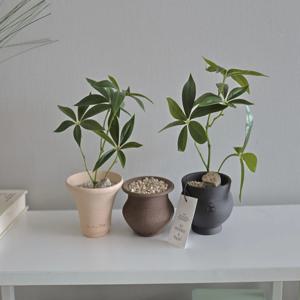 파키라 조화 식물 화분 작은 소품 -3COLOR