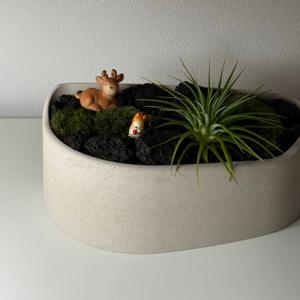 A TYPE 피규어 테라리움 키트 이끼화분 만들기 가드닝 수업교구