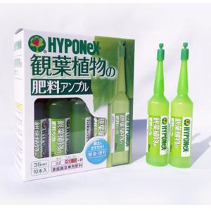 하이포넥스 (관엽식물용)