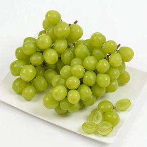 애플 청포도 오톰크리스피 스윗글로브