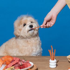 잇츄 츄잇 강아지 저칼로리 간식 극세어포 3종