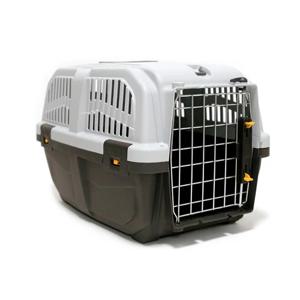 국제 항공 탑승 가능 스쿠도 자이언트(7) 대형 이동장