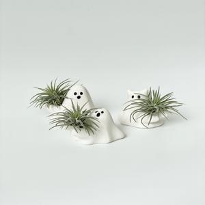유령팟 이오난사 오브제 화분 식물 인테리어