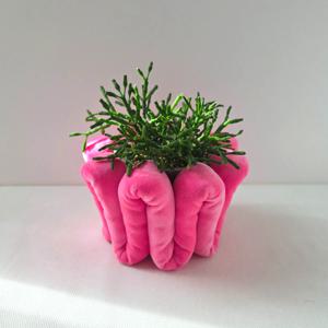 립살리스 뽀빠이 플라피 화분커버 세트