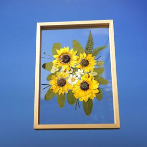 해바라기 7 압화 풍수 인테리어 금전운 투명 액자