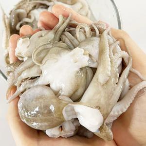 손질 통주꾸미 750g 1팩기준 250g(8미) 비법소스 160g 1봉기준 80g