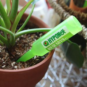 하이포넥스 앰플 공기정화식물영양제10P