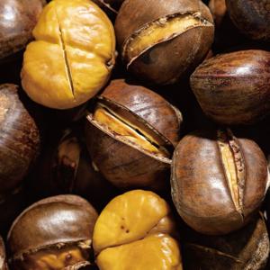 팜보스 설탕없이 달콤하게 스테비아 생율 500g 중량별 선택