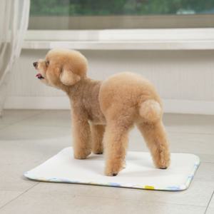 NEW 친환경 강아지 워싱 배변패드 L 사이즈 대형 (2color)