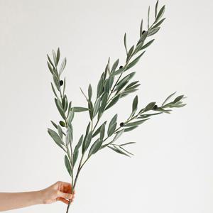 아르베키나 리얼한 빈티지 그린 올리브 가지 인테리어 조화