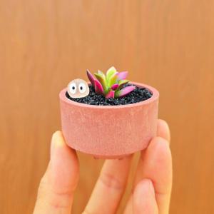 취설송 + 아담팟2호 식재세트