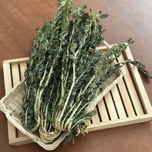 경남 산청군 자연건조 건시래기 500g 외