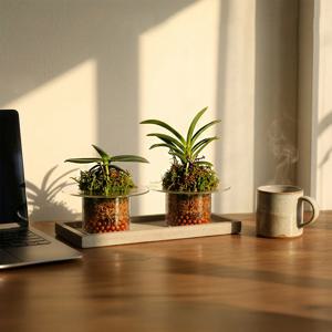 풍란 이끼 디쉬 오브제(FUKIRAN MOSS DISH) 코케다마 미니화분