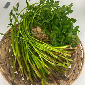 국내산 향긋한 봄나물 제철 미나리 200g, 500g, 1kg, 2kg, 4kg 중량선택