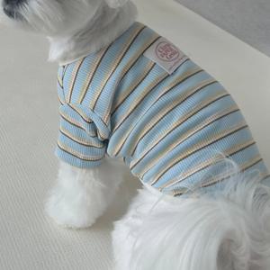 강아지티셔츠 강아지옷 강아지봄옷 사계절용 실내복