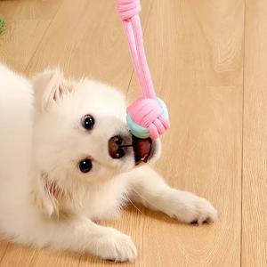트위스티 터그 강아지 장난감