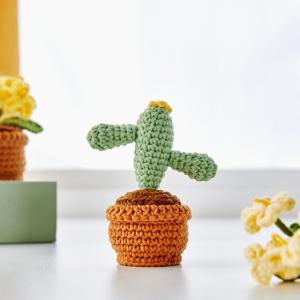 L 니트꽃 선인장 화분