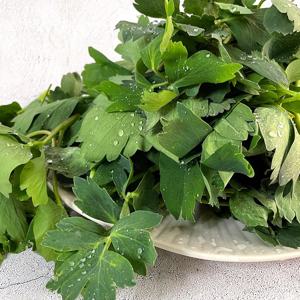 여수 금오도 신선한 방풍나물 2kg