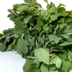 여수 금오도 신선한 방풍나물 1kg