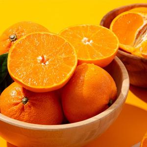 제주 서귀포 노지 천혜향 (혼합과) 10kg 외