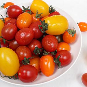 국내산 오색 칵테일 토마토 1kg 외