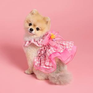 강아지 핑크웨딩 드레스