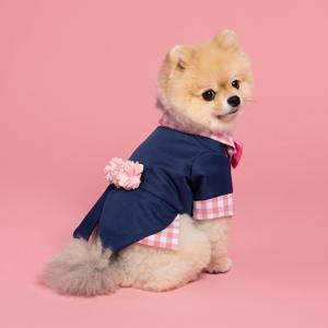 강아지 핑크웨딩 턱시도