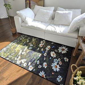 데이지 필드 사계절 먼지 없는 아트 러그