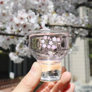 도요사사키 벚꽃에디션 굽 소주잔 사케잔 정종잔 70ml
