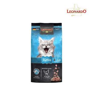 레오나르도 키튼 1.8kg(리뉴얼)