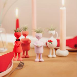 틸란드시아 큐피드 미니 캐릭터화분 인테리어 소품 공기정화식물 1종