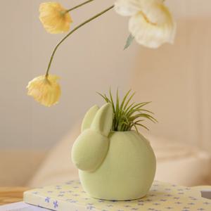 틸란드시아 레빗 화분세트 집들이 이사선물세트 공기정화식물