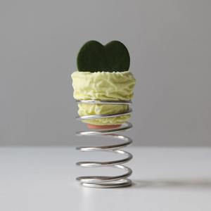 하트호야 스파이럴스토리지 커버화분 다육식물 미니선인장