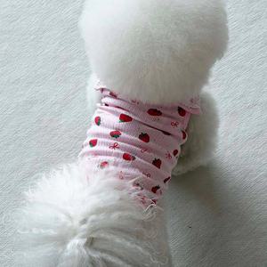 강아지옷 강아지티셔츠 강아지봄옷 산책룩 사계절용 실내복