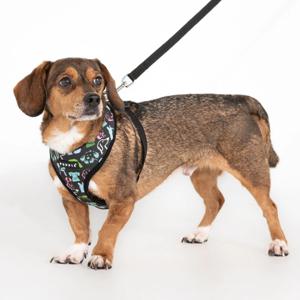 코너 하네스 A_HA2311_XL