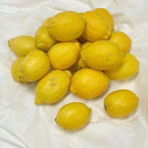 못난이 제주 레몬 1kg 2kg 3kg 5kg
