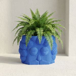 프랭크 캐릭터 생분해 화분 가리개 플분 화분커버 팟커버 블루