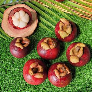 달콤한 태국산 생 망고스틴 500g 5~7과 외