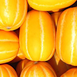 실속형 가정용 성주 참외 혼합과(랜덤과) 1~10kg