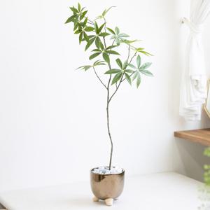 파키라 조화 가지 74cm 식물 조경 인테리어 장식 소품 인조 녹색