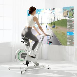 ERG 실내자전거 즈위프트 스피닝 스핀 바이크 사이클