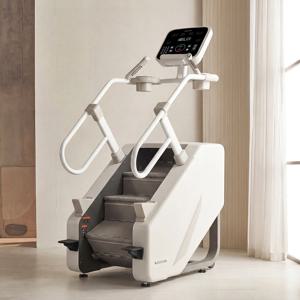 리얼클라임 스텝밀 머신 방문설치 천국의계단 스텝퍼 가정용 계단 오르기